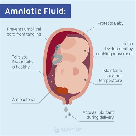 symptoms of leaking amniotic fluid|Leaking Amniotic Fluid: Signs, Causes, and。